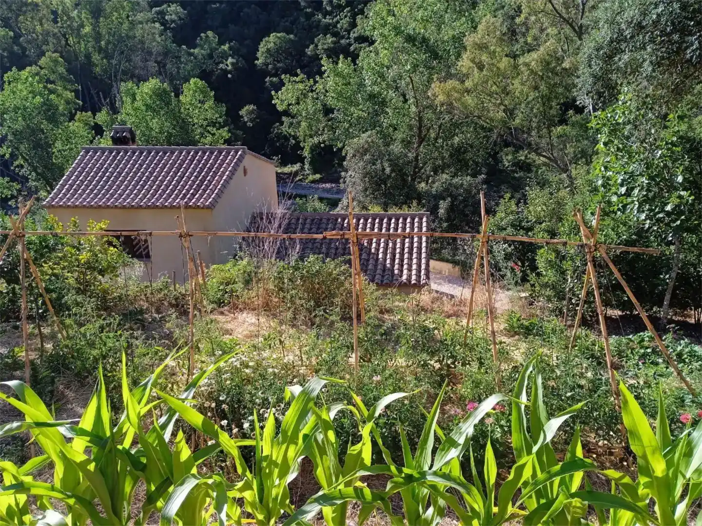Finca rústica en venta en Genalguacil con Jardín privado