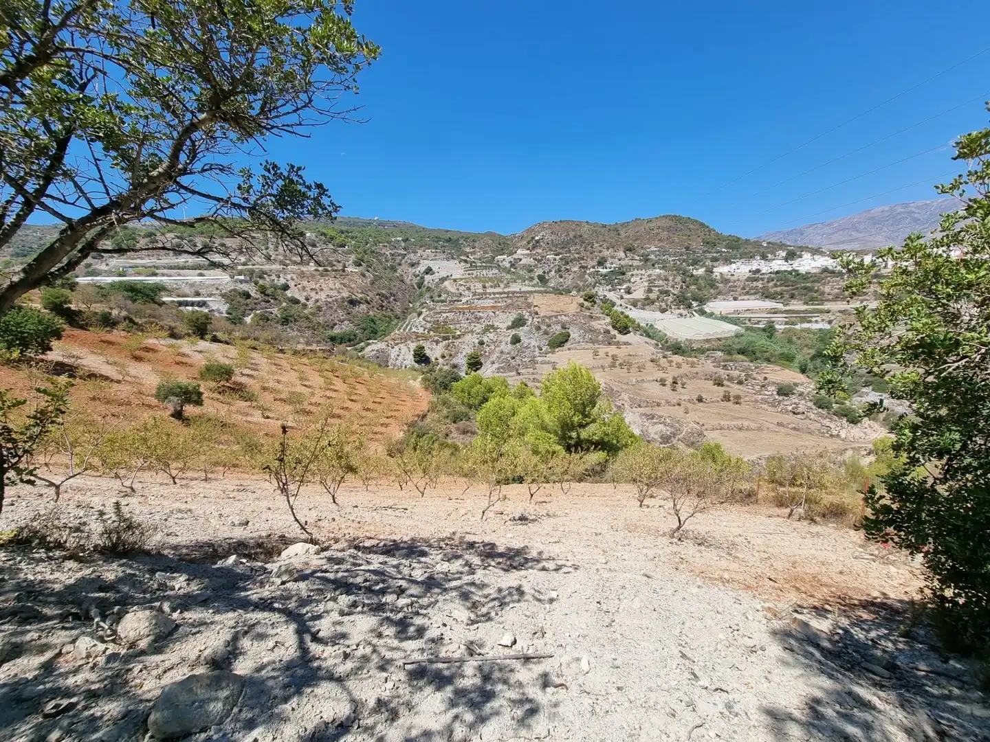 Country homes for sale in Gualchos