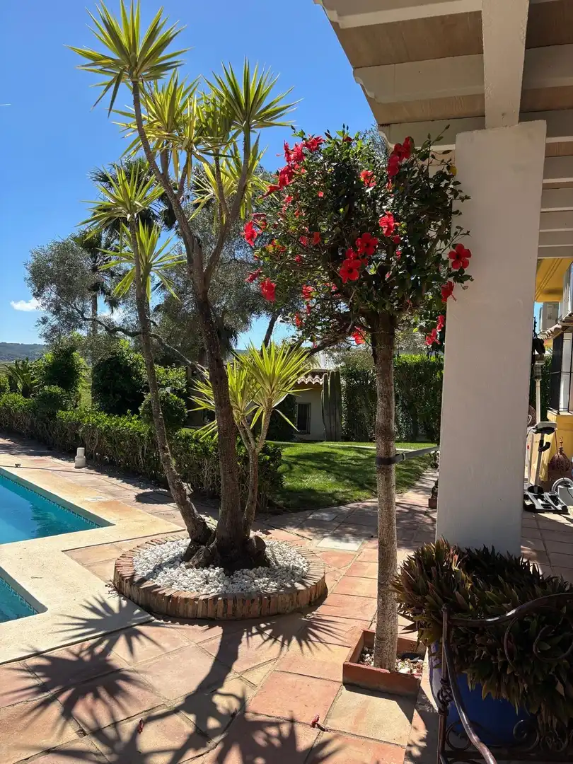Casa rústica amb piscina en venda a Barbate ciudad, imagen 71