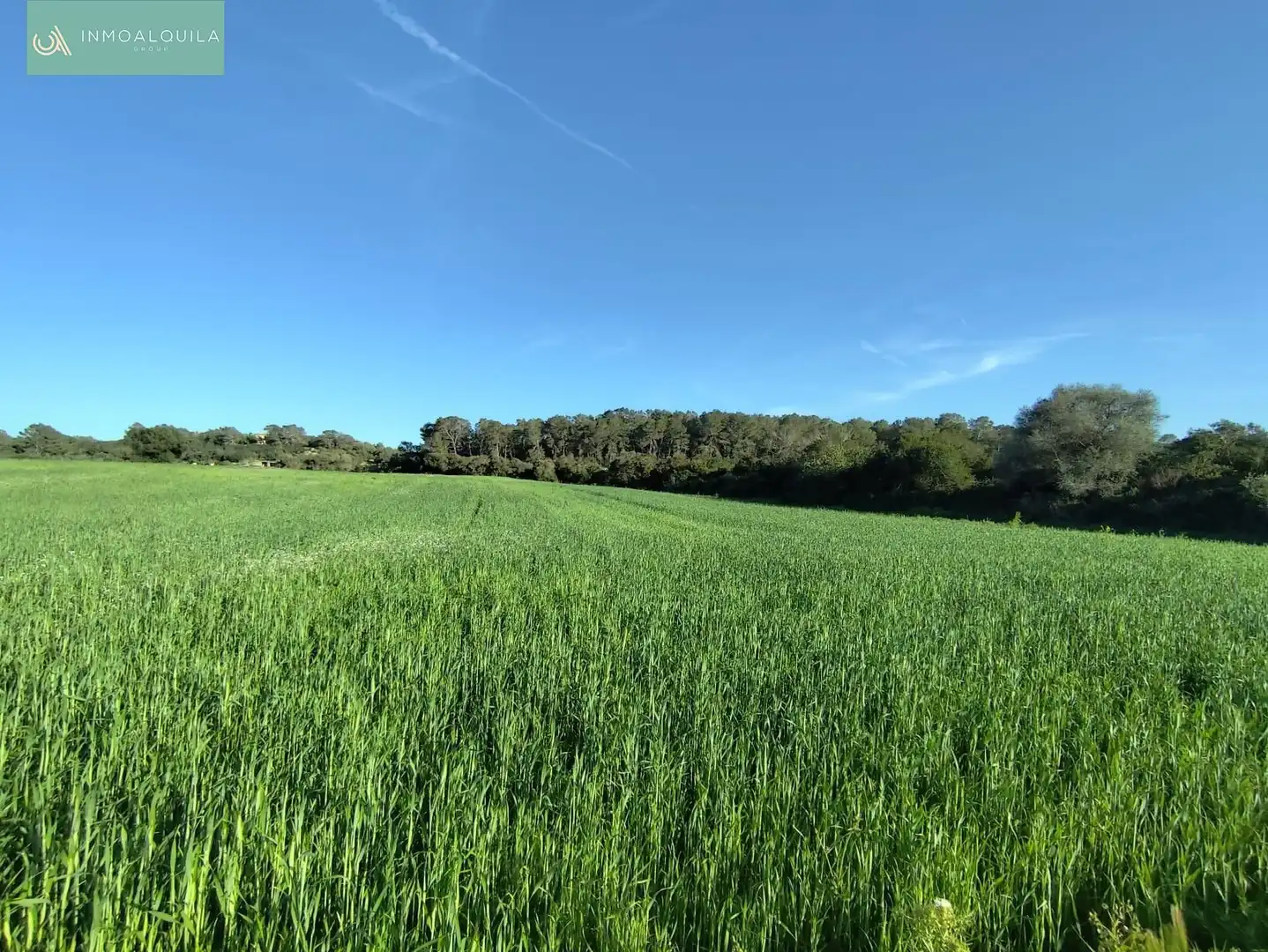 Residential zum Verkauf in Sineu