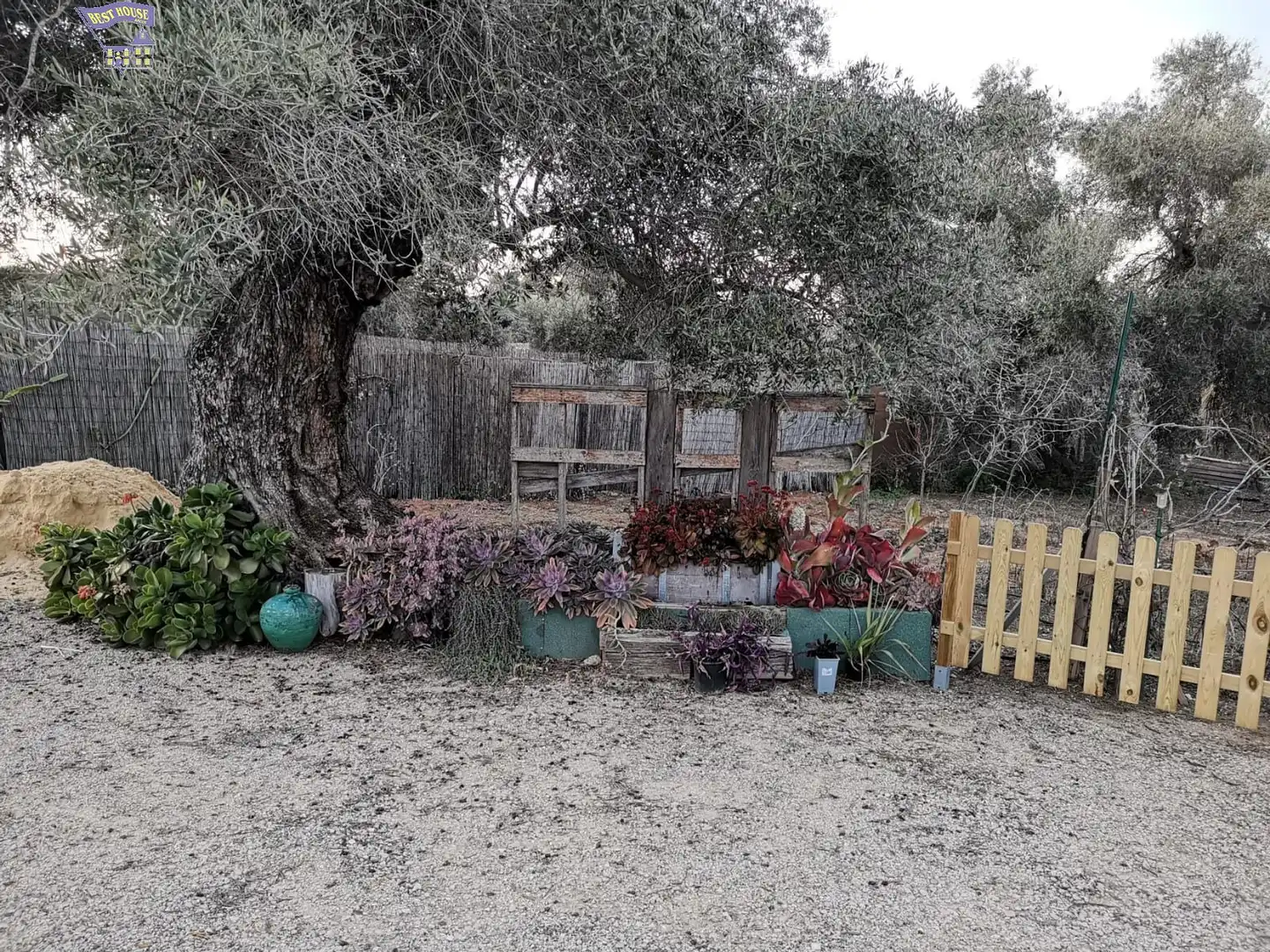 Houses for rent in Arcos de la Frontera