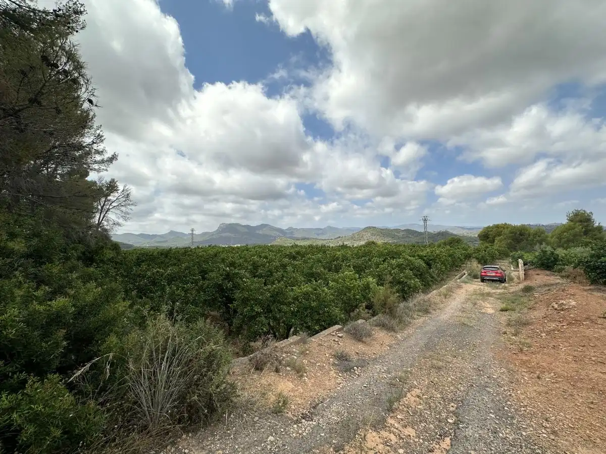 Rural land for sale in Sagunto ciudad, imagen 8