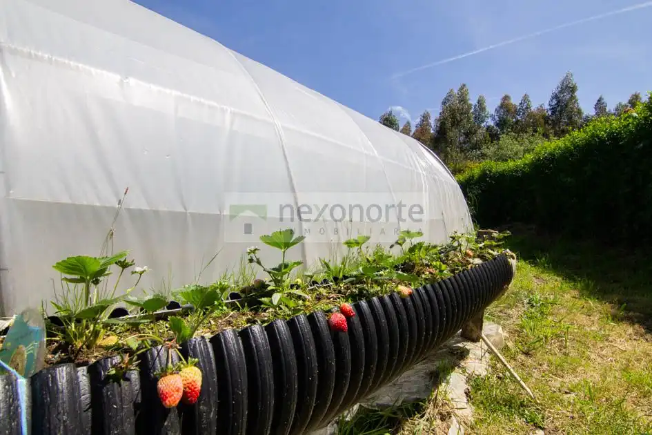 Jardín de Finca rústica en venta en Ortigueira con Trastero