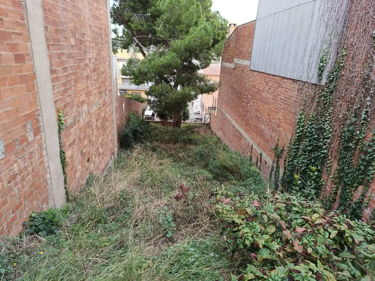 Terreny rústic en venda a Burgos
