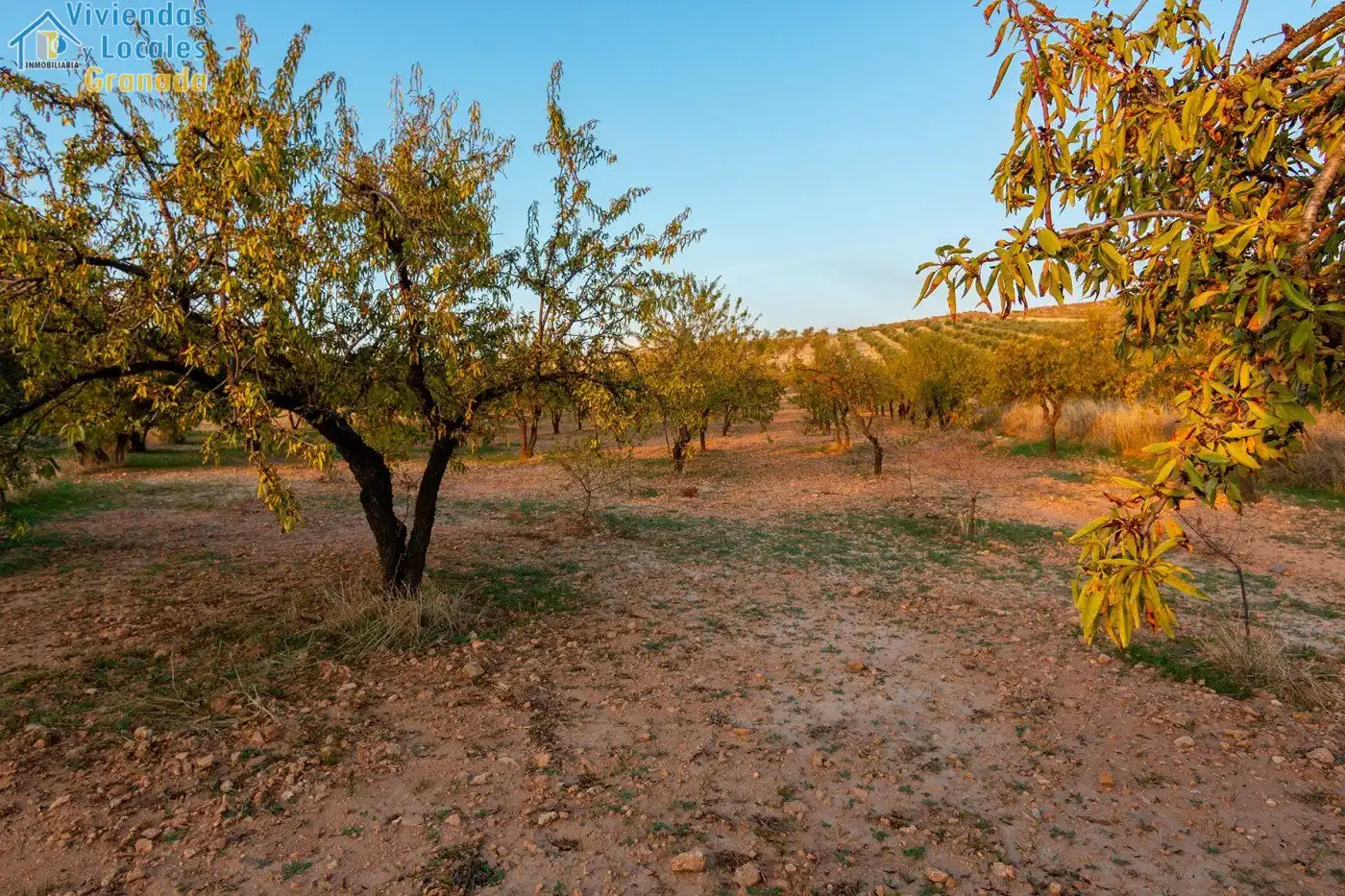 Rustikales Grundstück zum Verkauf in Camino de la zapatera, imagen 2