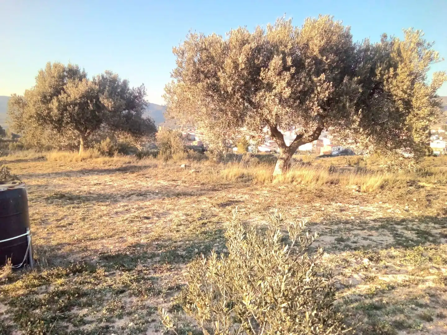 Terrain rustique à vendre à Riba-roja d'Ebre, imagen 8