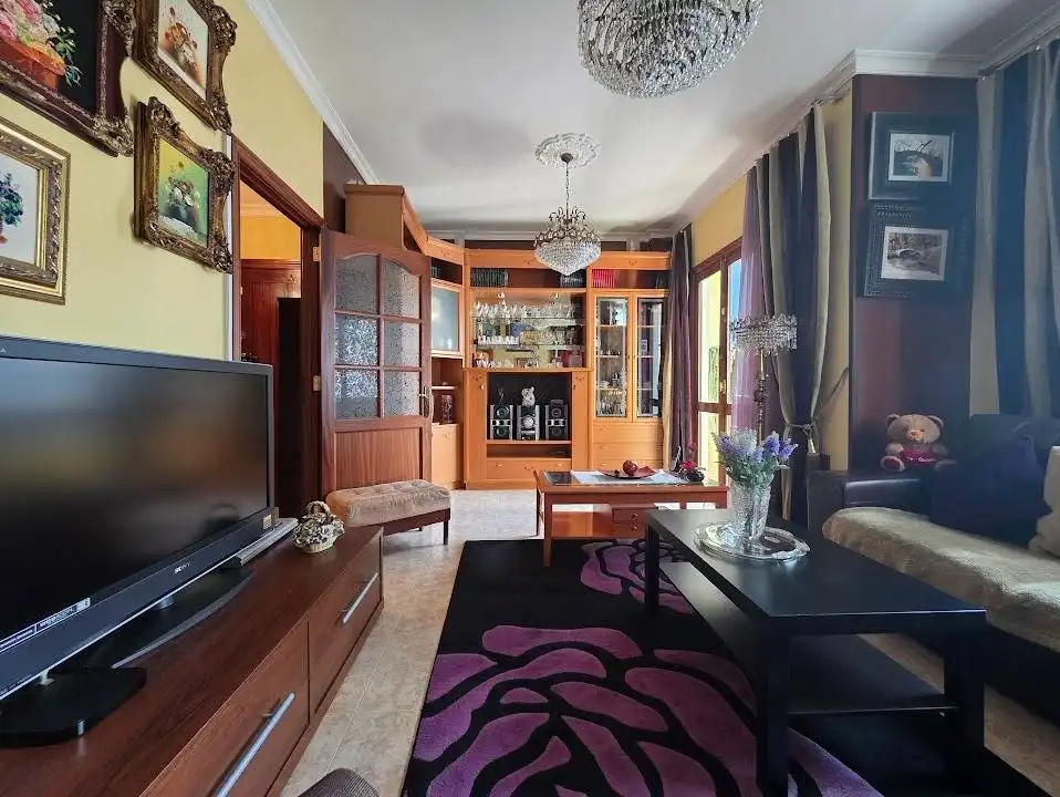Sala d'estar de Pis en venda en Las Palmas de Gran Canaria amb Aire condicionat, Calefacció i Jardí privat