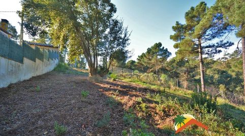 R02059 PARCELA DE 800 M2 EN LA URBANIZACION DE LLORET BLAU, imatge 5