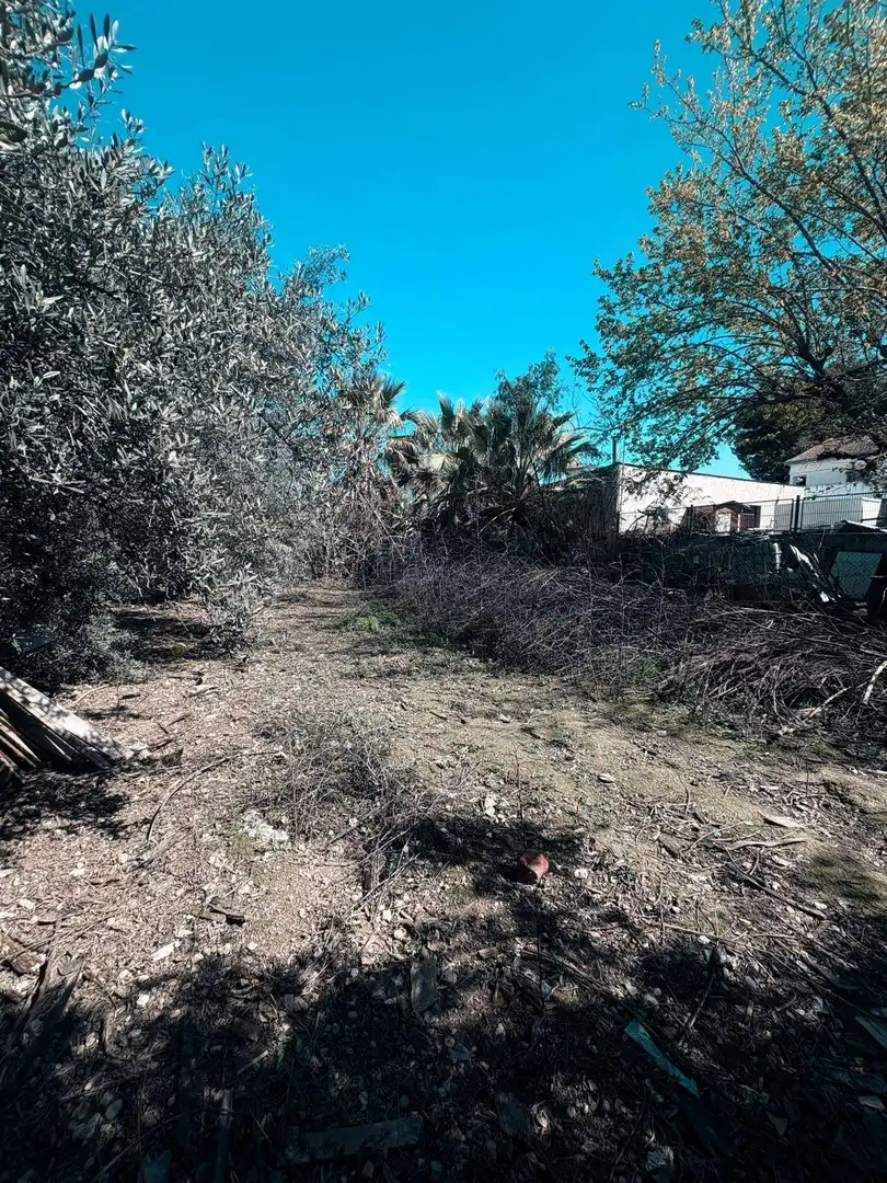 Terreny rústic en venda a Pedanías Norte, imagen 2
