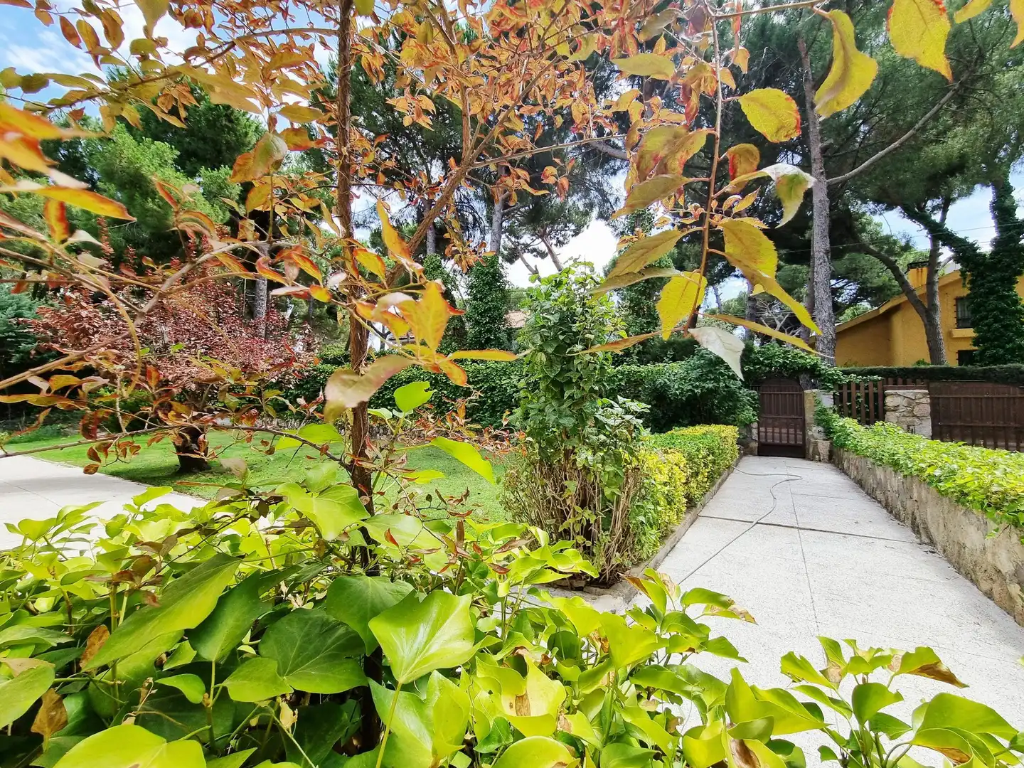 Jardí de Casa o xalet en venda en Boadilla del Monte amb Calefacció, Jardí privat i Terrassa