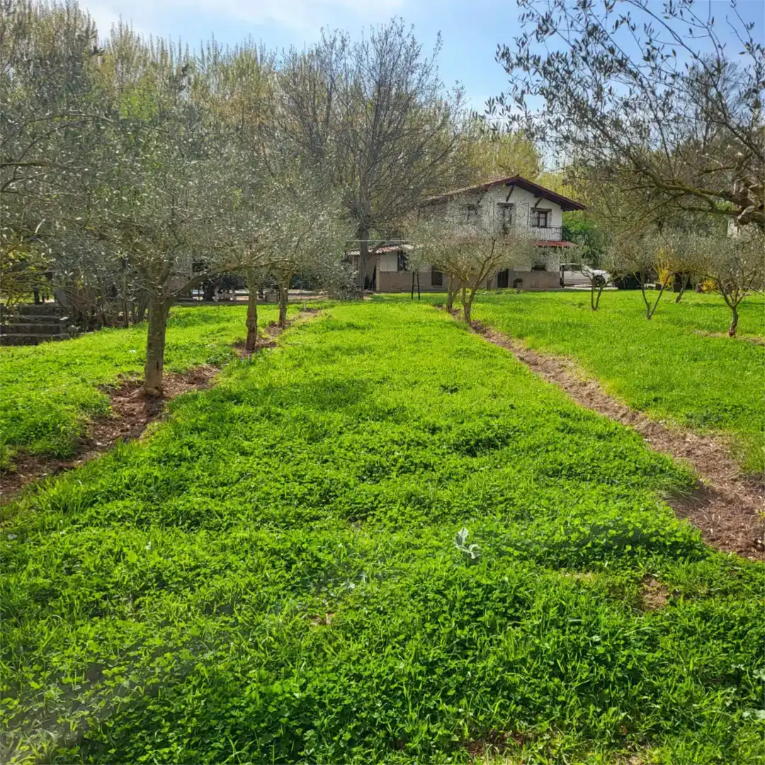 Finca rústica en venda a Paseo del Soto, 4, Hormilleja