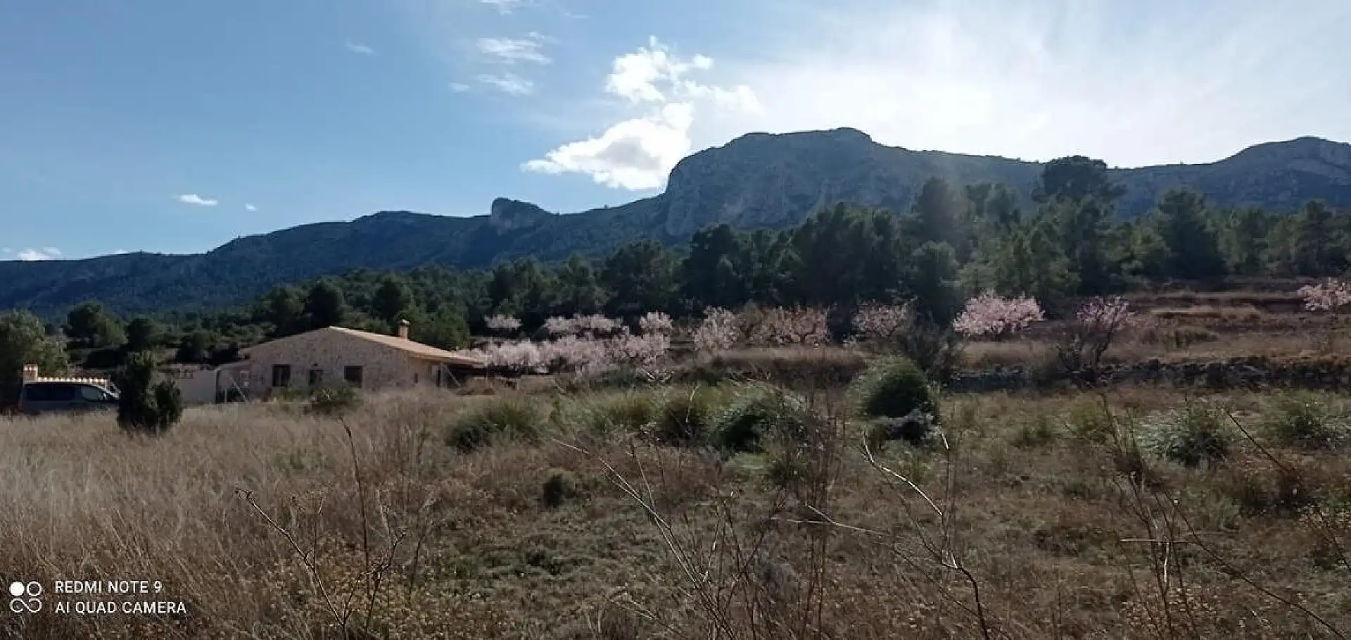 Terreny rústic en venda a La Romana
