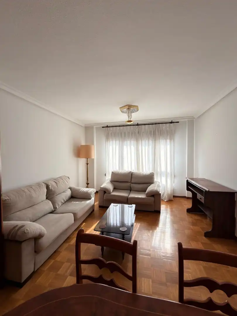 Sala d'estar de Pis de lloguer en Oviedo  amb Calefacció i Moblat