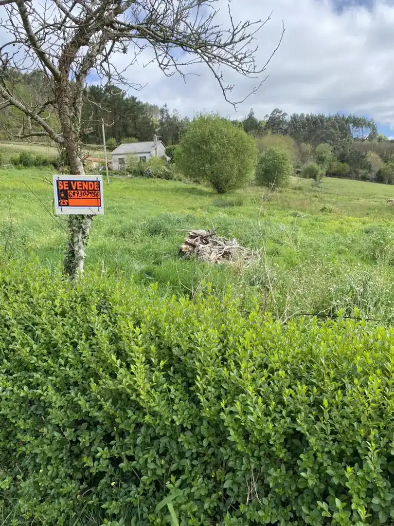 Finca rústica en venda en A Laracha  