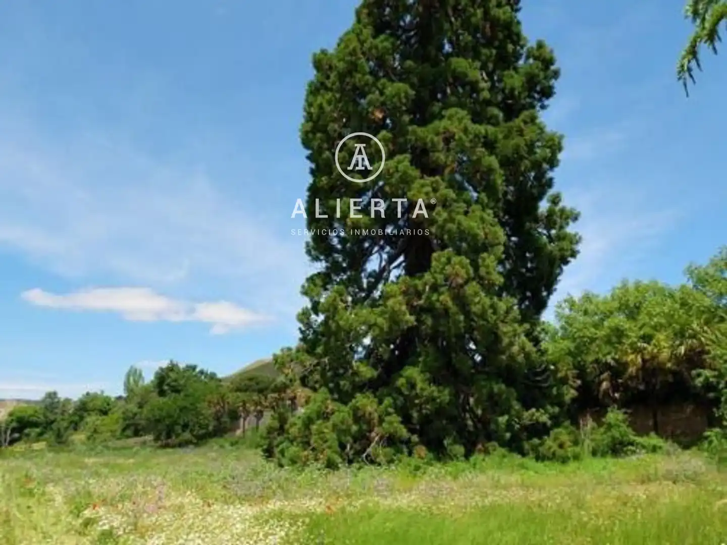 Chalet en venta en Sagunto-Burgos, imagen 21