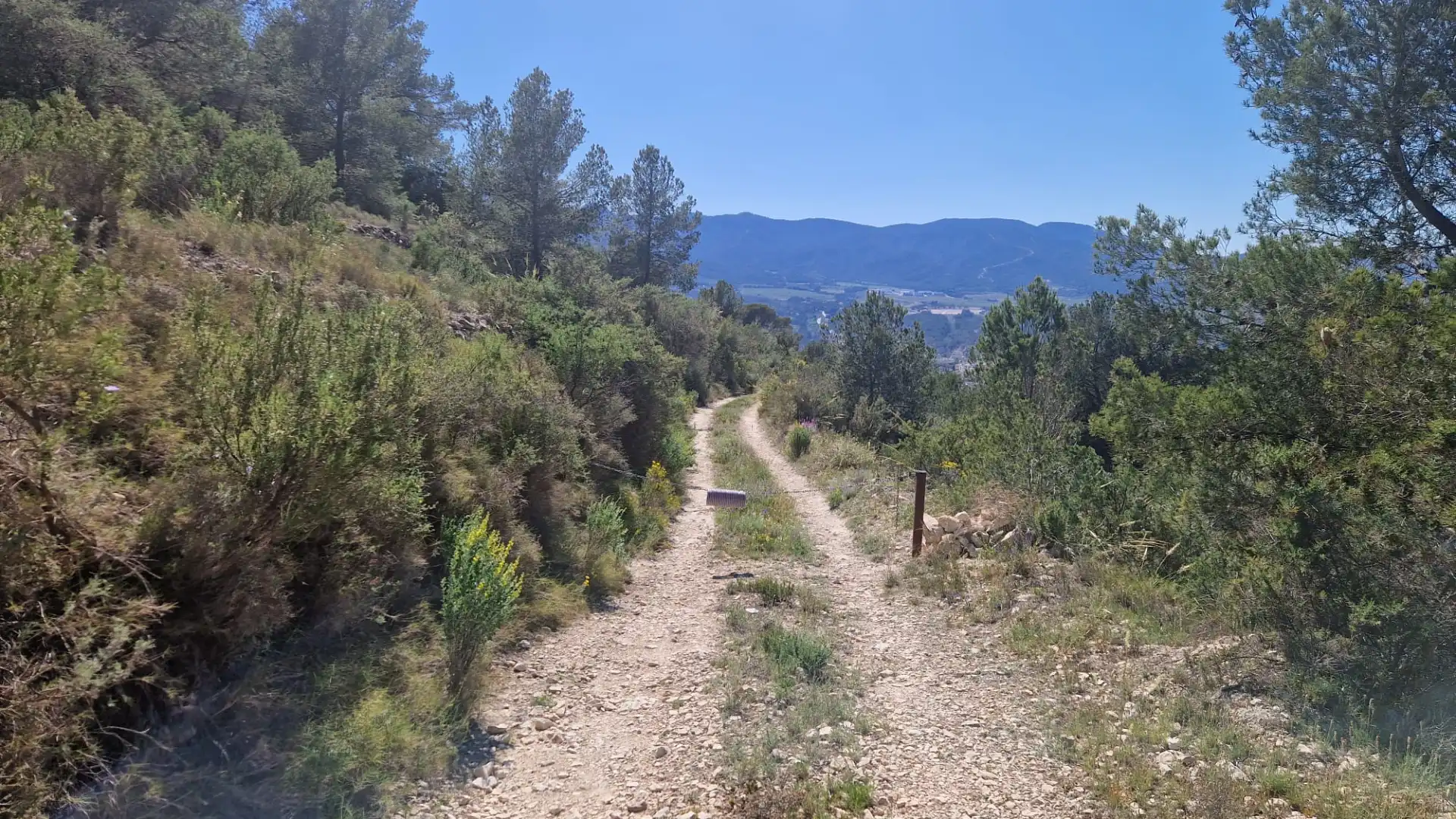 Terreno rustico in vendita a Lugar Castillo, imagen 13