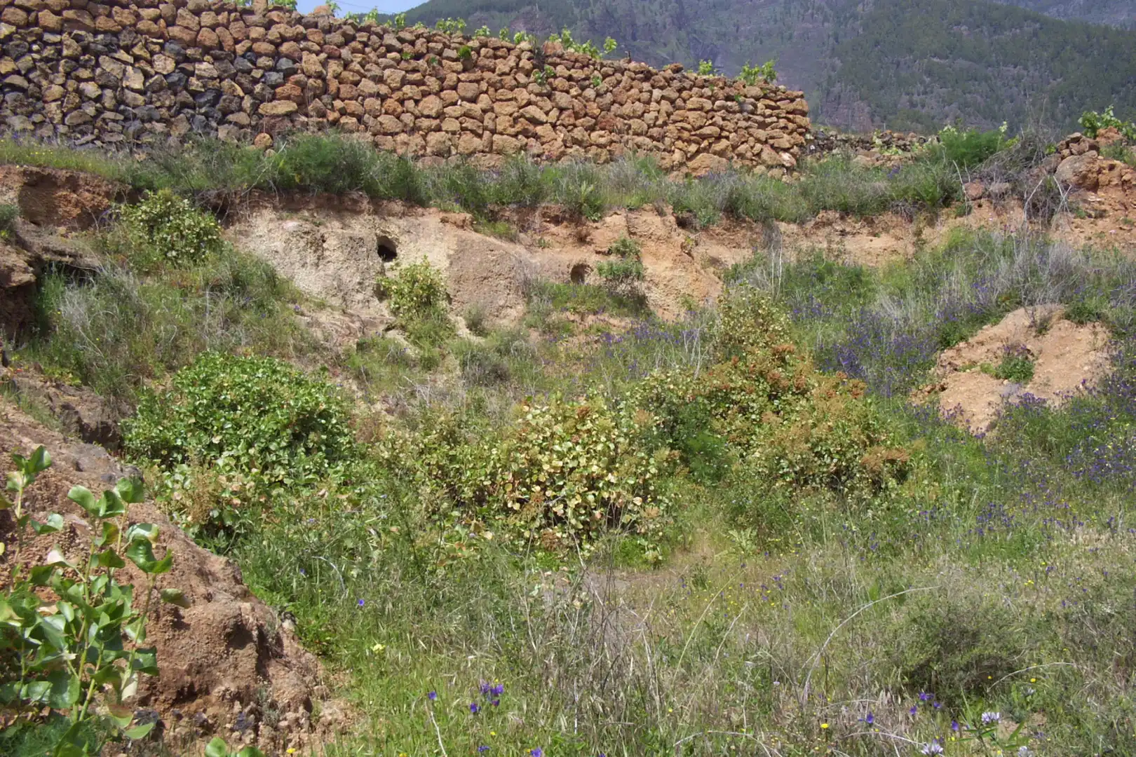 Rural land for sale in Calle Galván, imagen 5