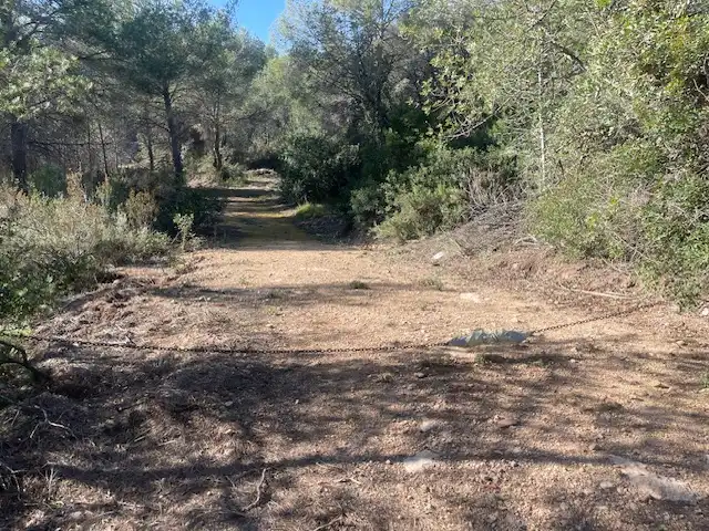 Rural land for sale in Albalat dels Tarongers, imagen 10