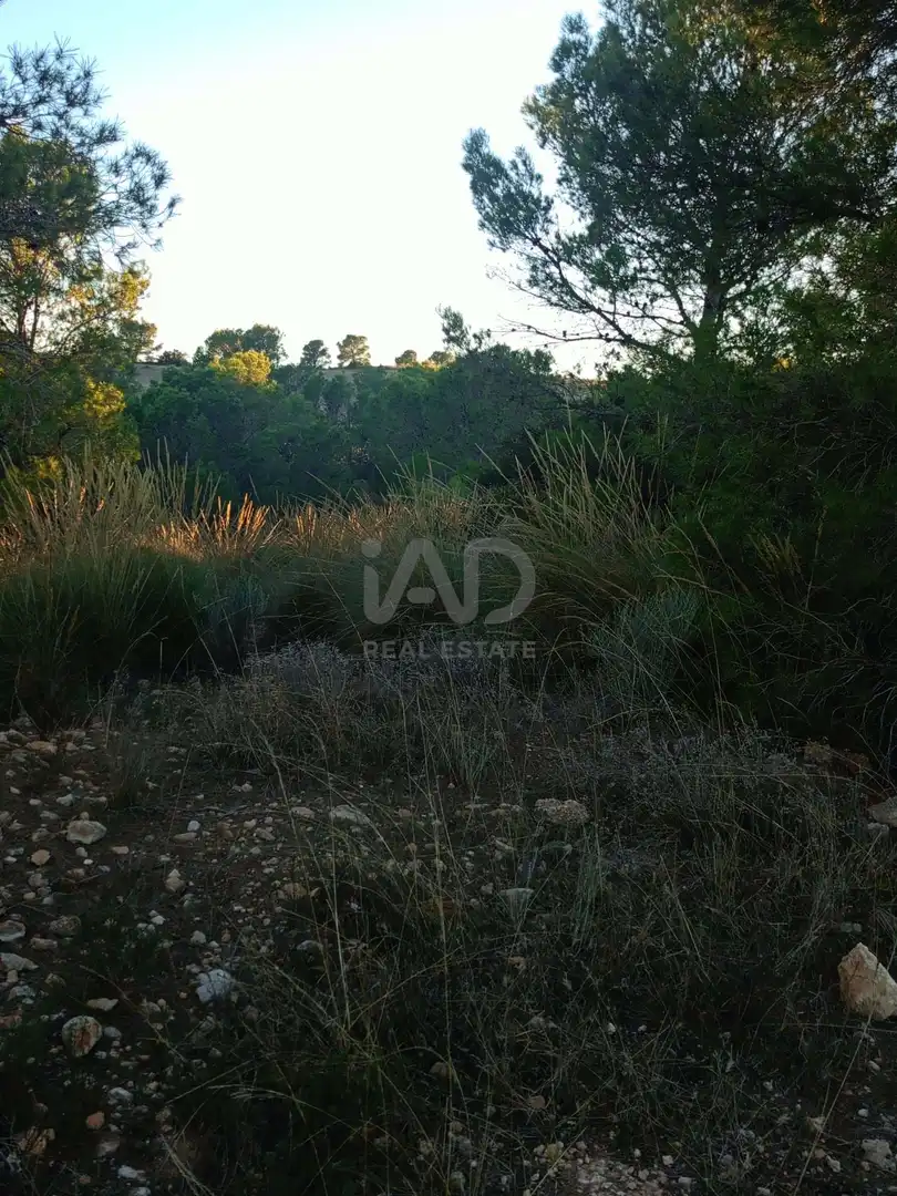 Terreno en venta en Lorca