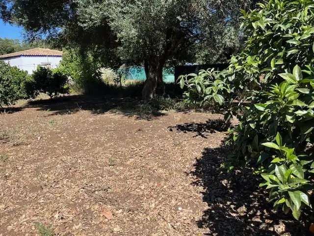 Finca rústica en venta en Vejer de la Frontera