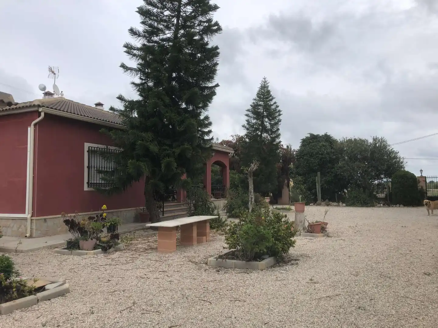 Vista exterior de Casa o chalet en venta en Callosa de Segura con Jardín privado y Amueblado