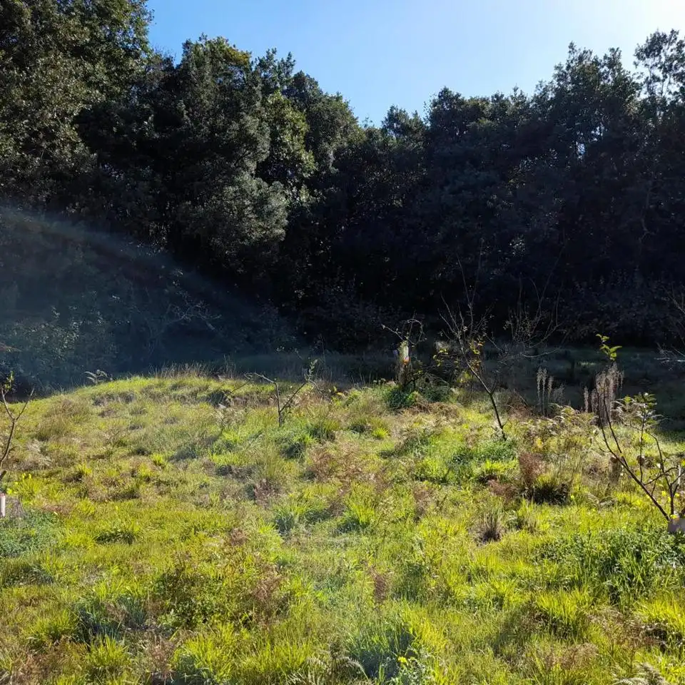 Rural land for sale in Hoya De Manzaneros, imagen 8