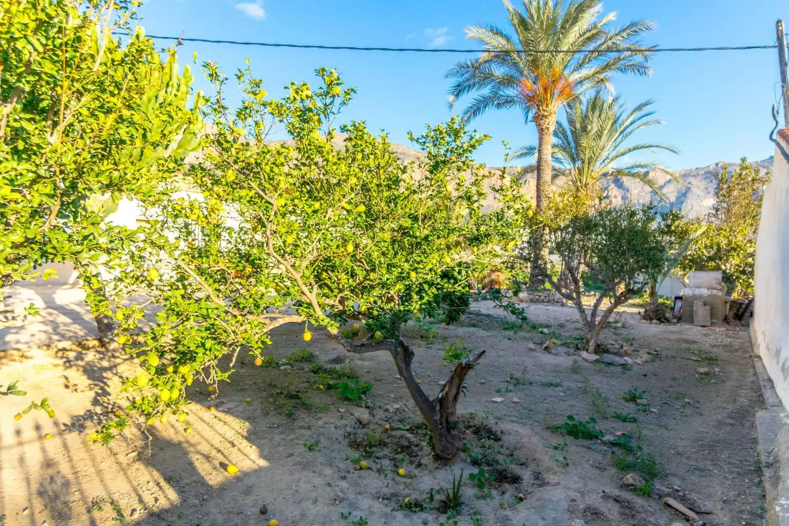 Garden of Houses for sale in Orihuela