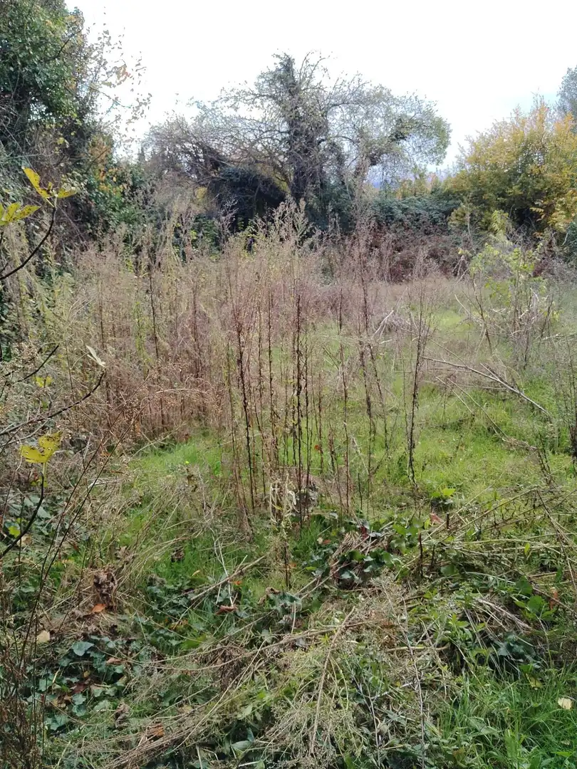 Country homes for sale in Tarazona  with Private garden