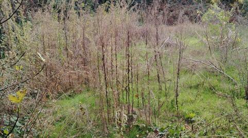 Photo 5 of Country house for sale in Tarazona, Zaragoza