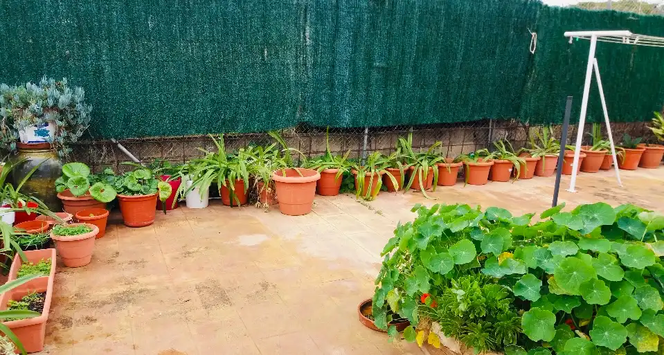 Jardí de Casa o xalet en venda en Muro de Alcoy amb Aire condicionat, Calefacció i Jardí privat