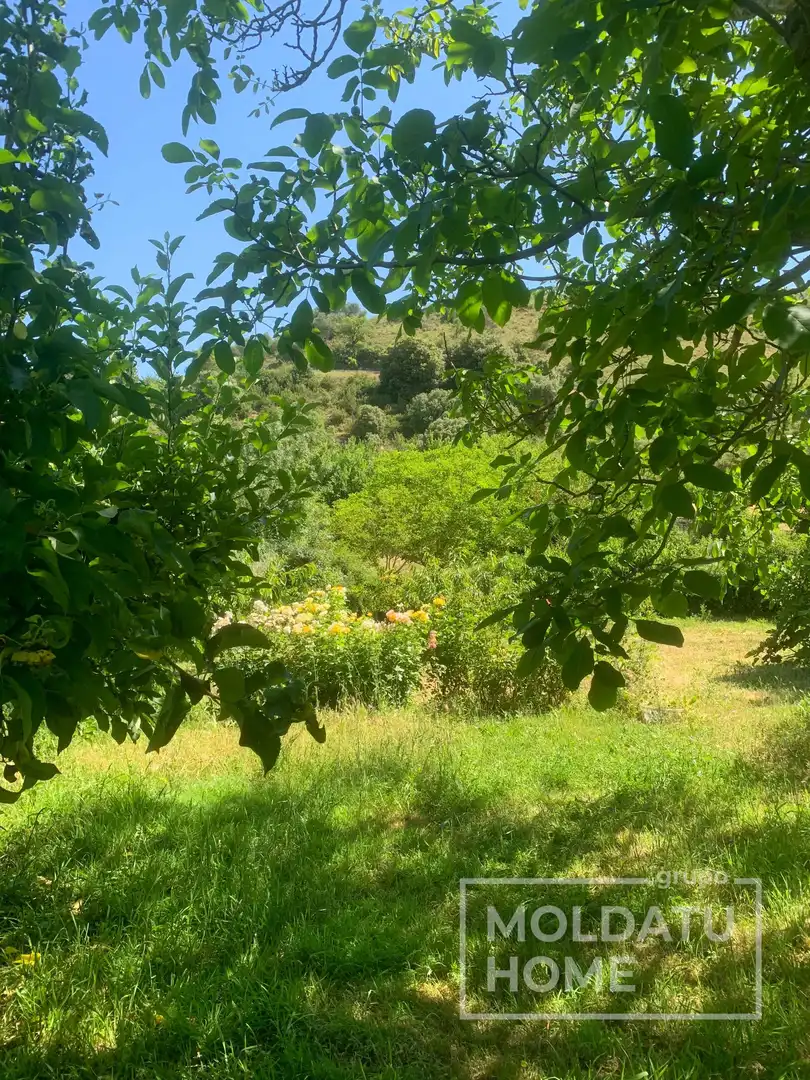 Terreno en venta en Belascoáin