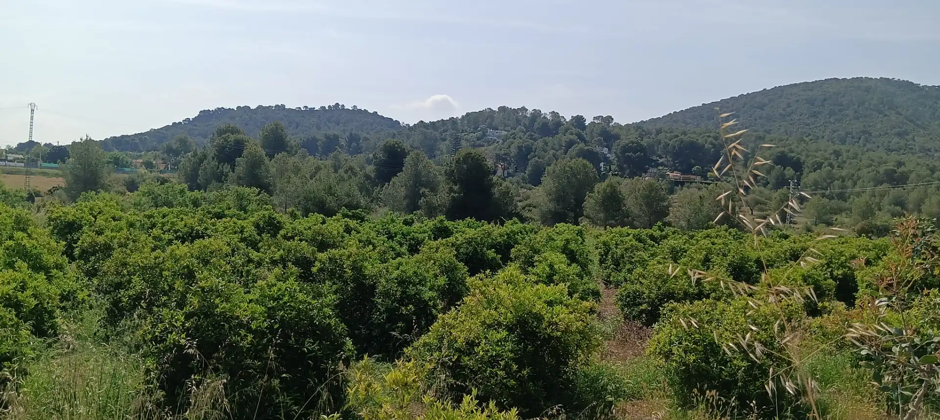 Rural land for sale in Vilamarxant, imagen 5