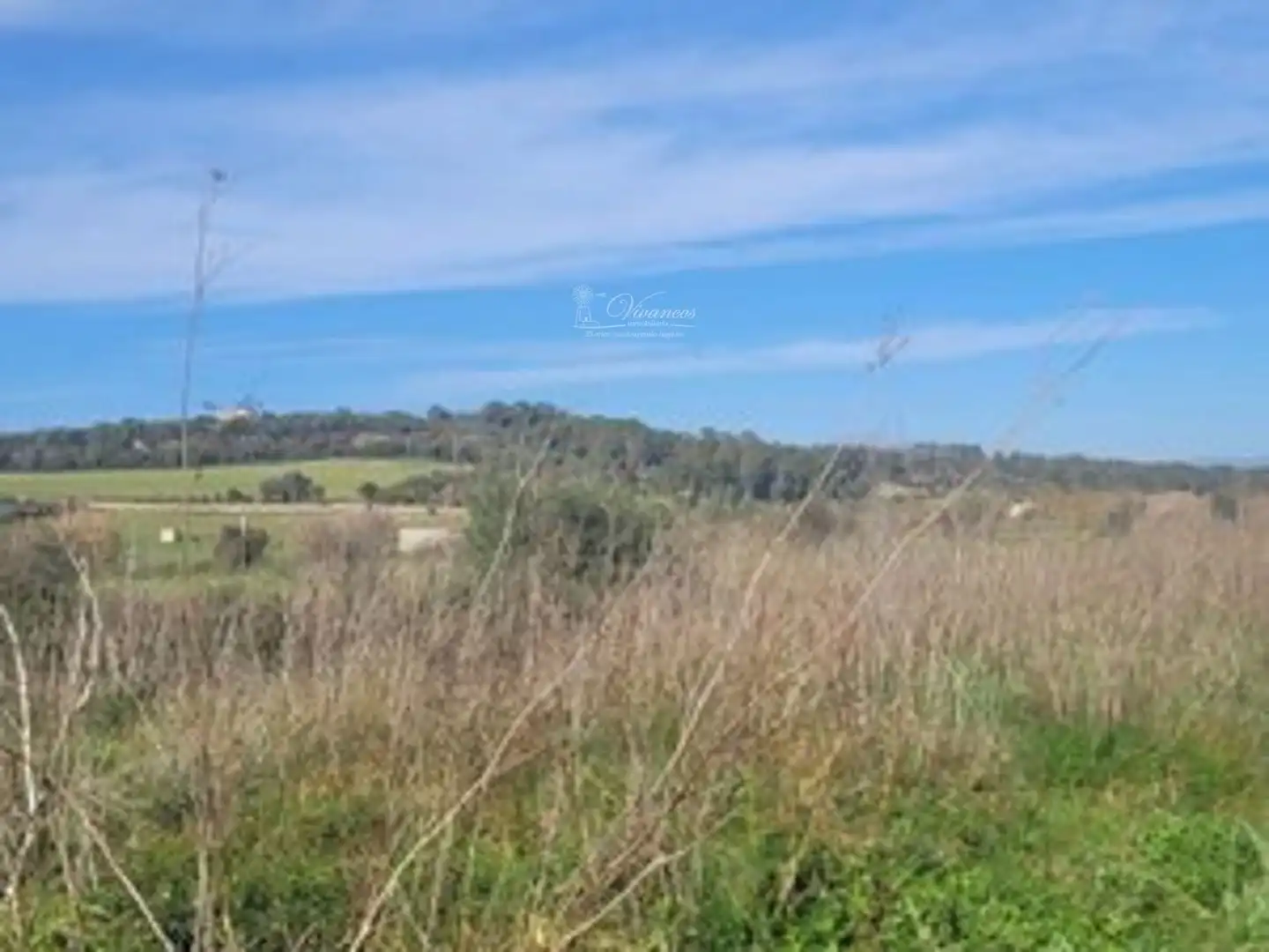 Rural land for sale in calle de costa y llobera 2, imagen 4