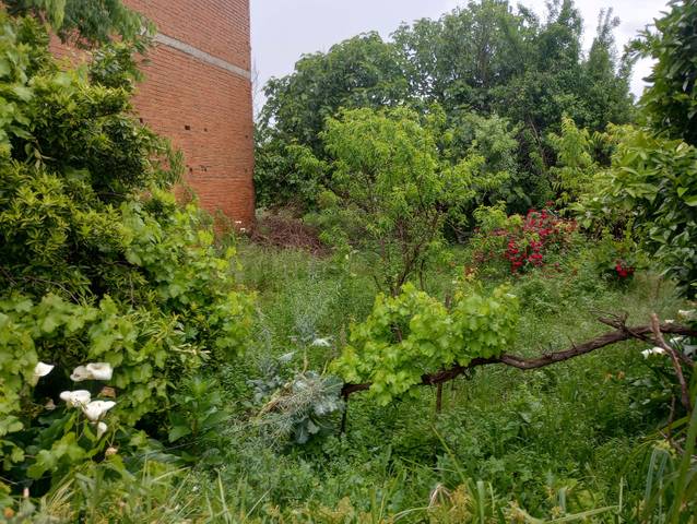 Casa-chalet en Venta en Cerezo