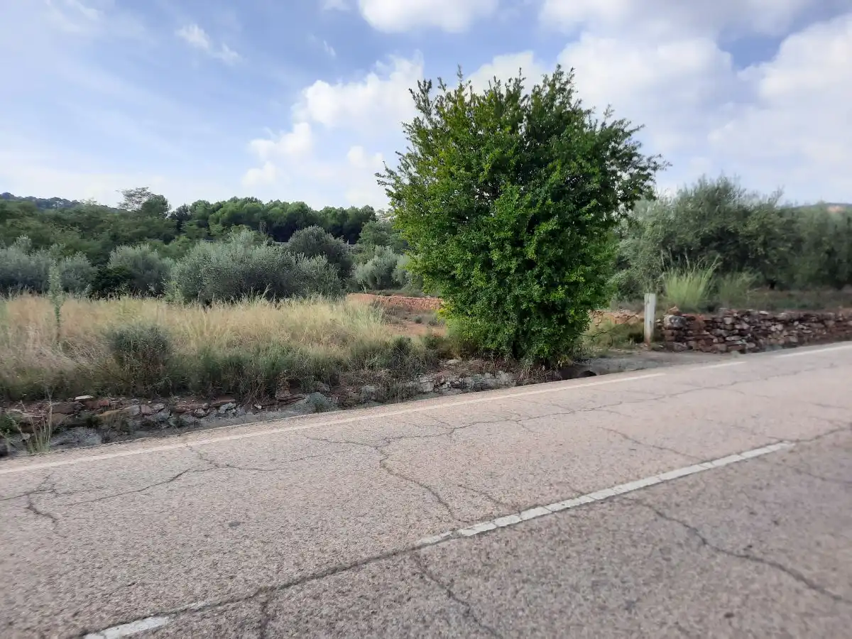 Terreno residencial en venta en Algímia de Alfara, imagen 10