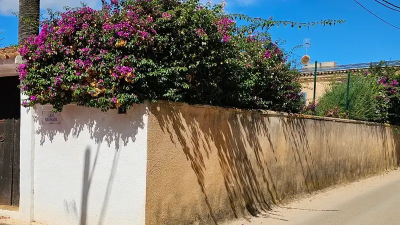 Vista exterior de Casa o chalet en venta en Santa María del Camí