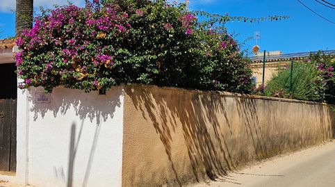 Foto 5 de Casa o chalet en venta en Santa María del Camí, Illes Balears