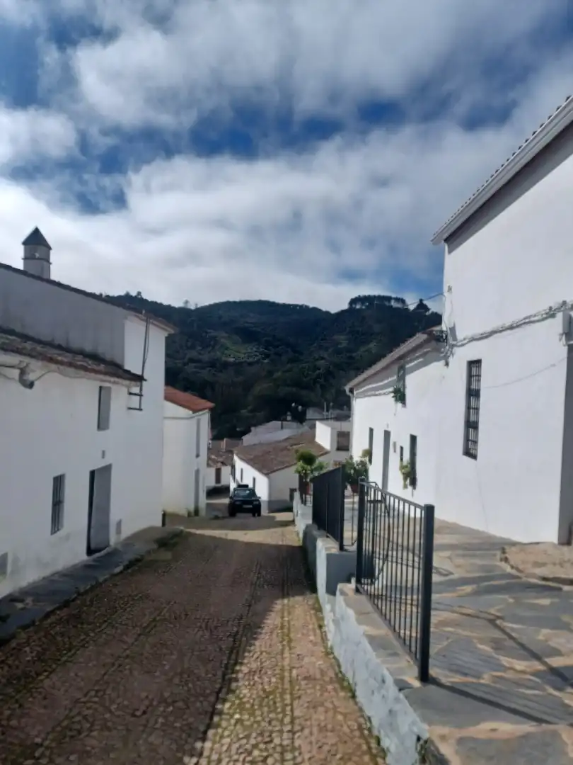 Exterior view of Detached homes for sale in Aracena  with Terrace, Storage room and Balcony