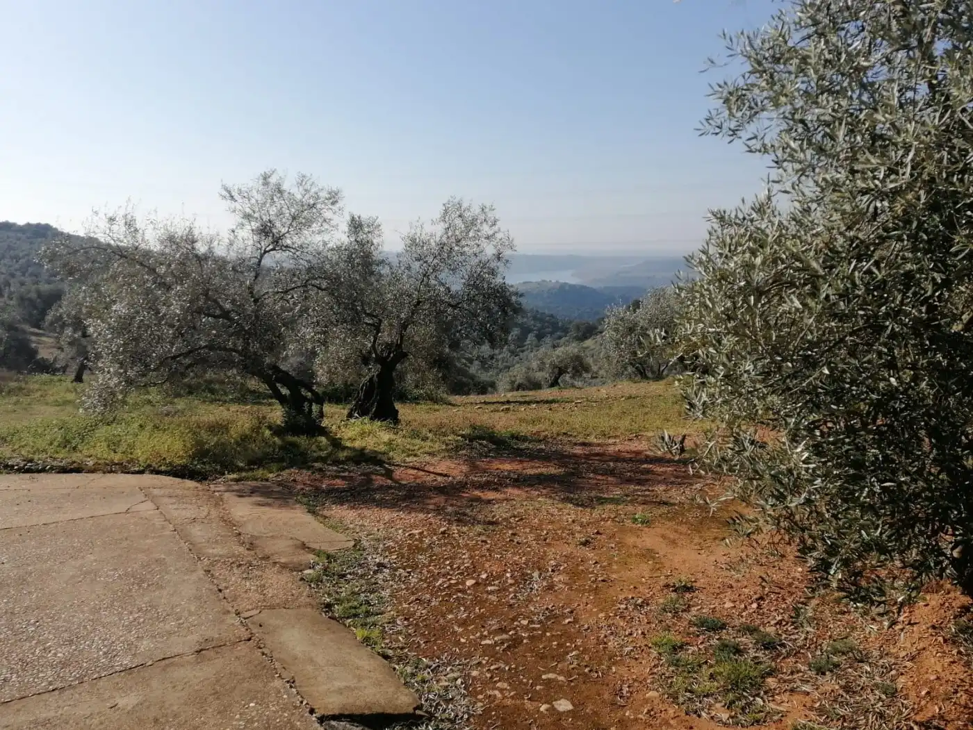 Casa amb jardí en venda a Montoro, imagen 48