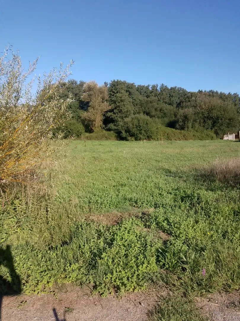 Rustikales Grundstück zum Verkauf in Meis, imagen 3