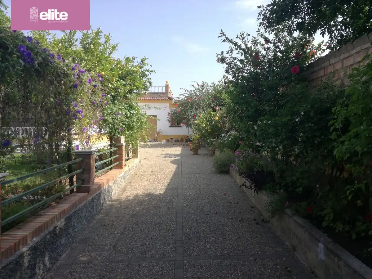 Chalet con jardín en venta en Arcos de la Frontera, imagen 3