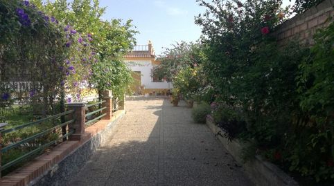 Foto 3 de Casa o xalet en venda a Arcos de la Frontera, Cádiz