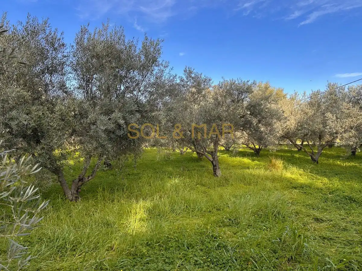 Casa rústica en venta en Nueva Aljaima - Las Tres Leguas - Los Mondeños, imagen 13