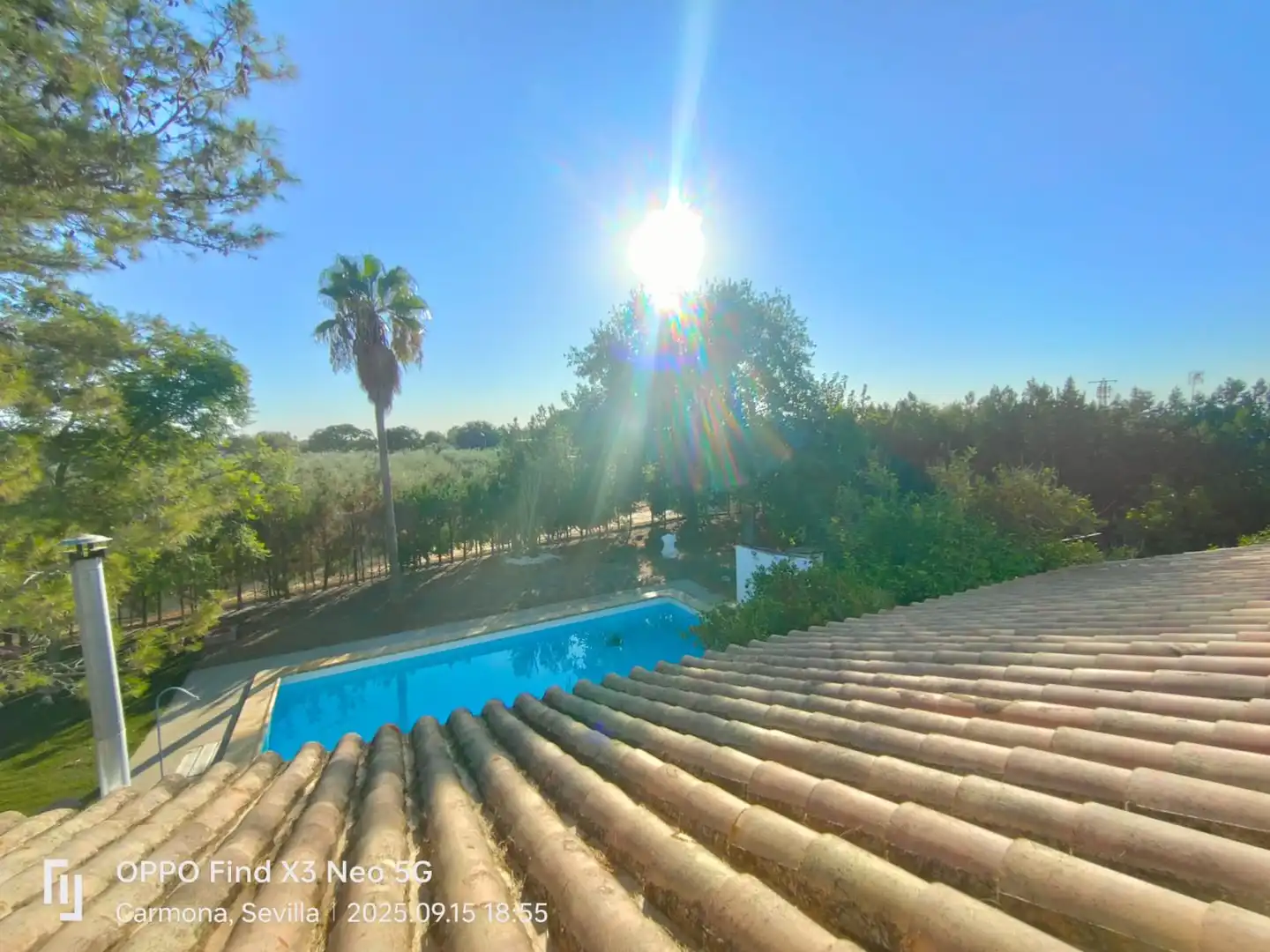 Vista exterior de Casa o chalet en venta en Carmona con Terraza