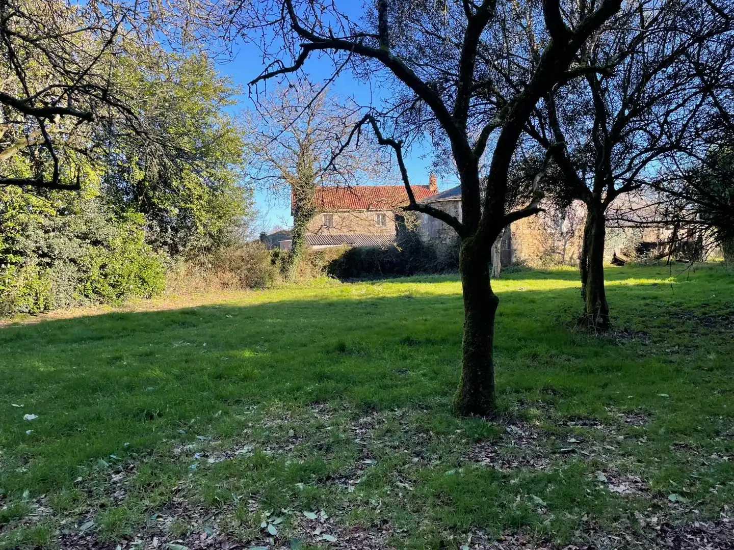 Maison rustique avec jardin à vendre à A Reborica, imagen 11
