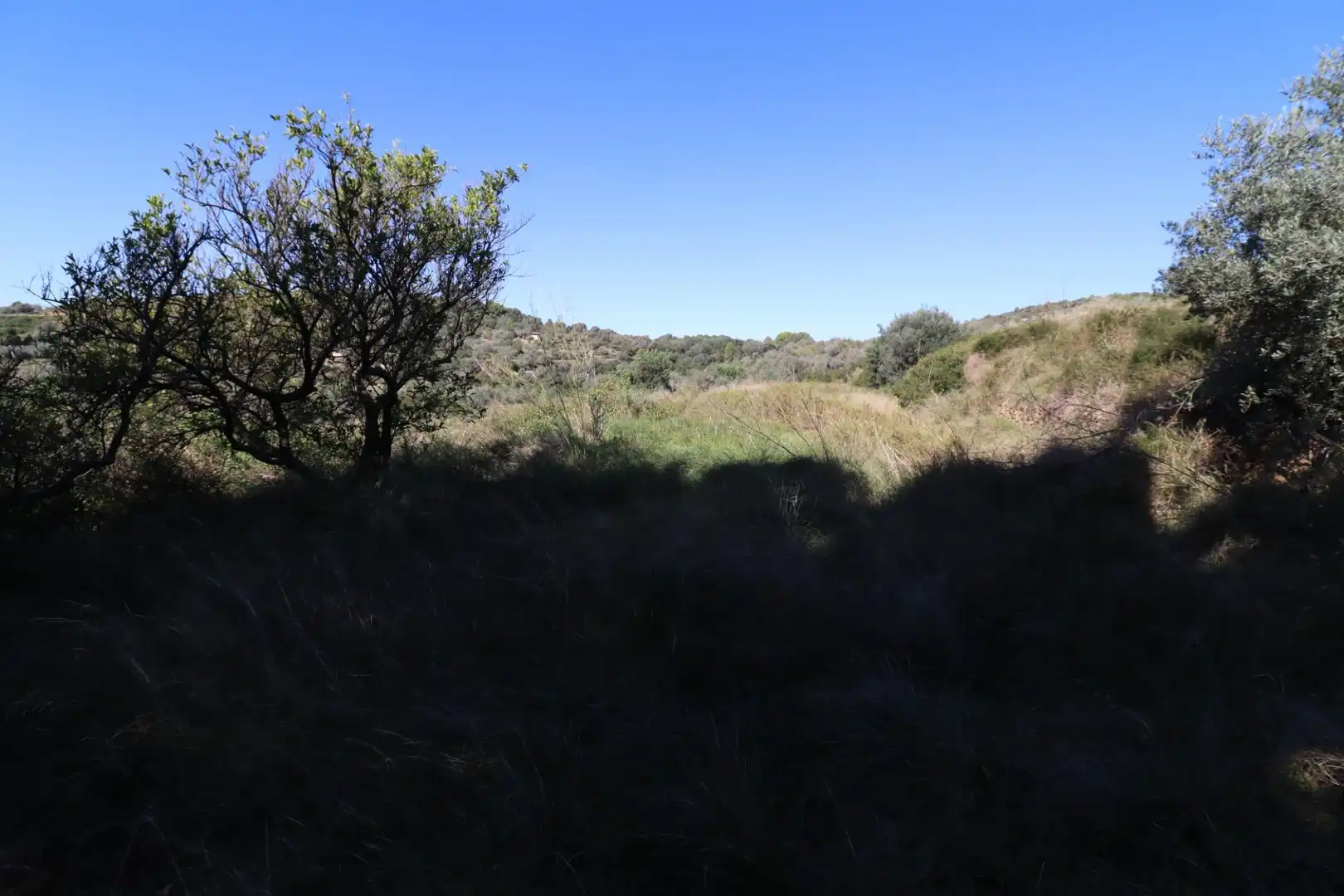 Grundstücke zum Verkauf in Ulldecona