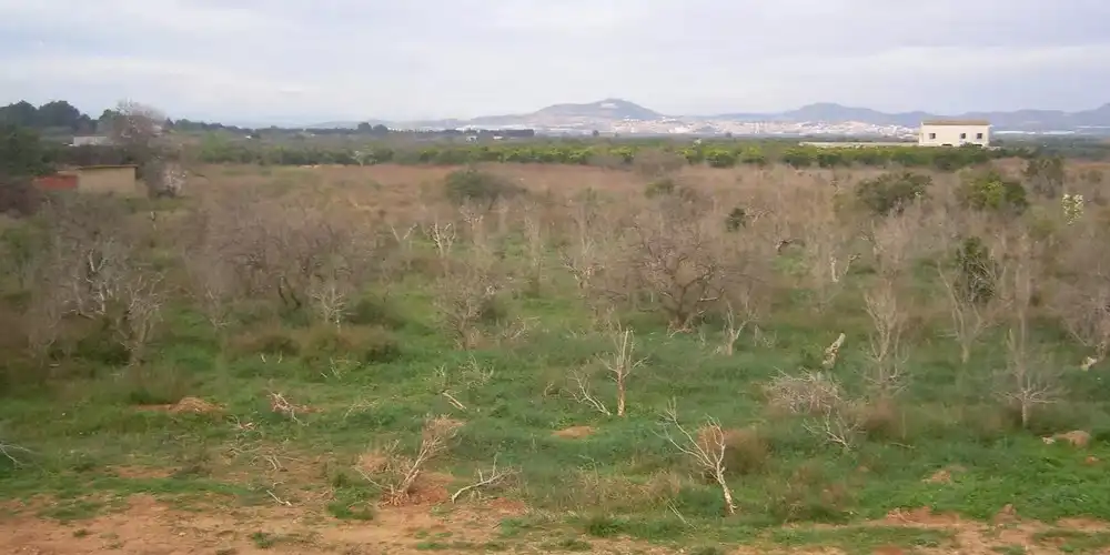 Residential zum Verkauf in La Pobla de Vallbona