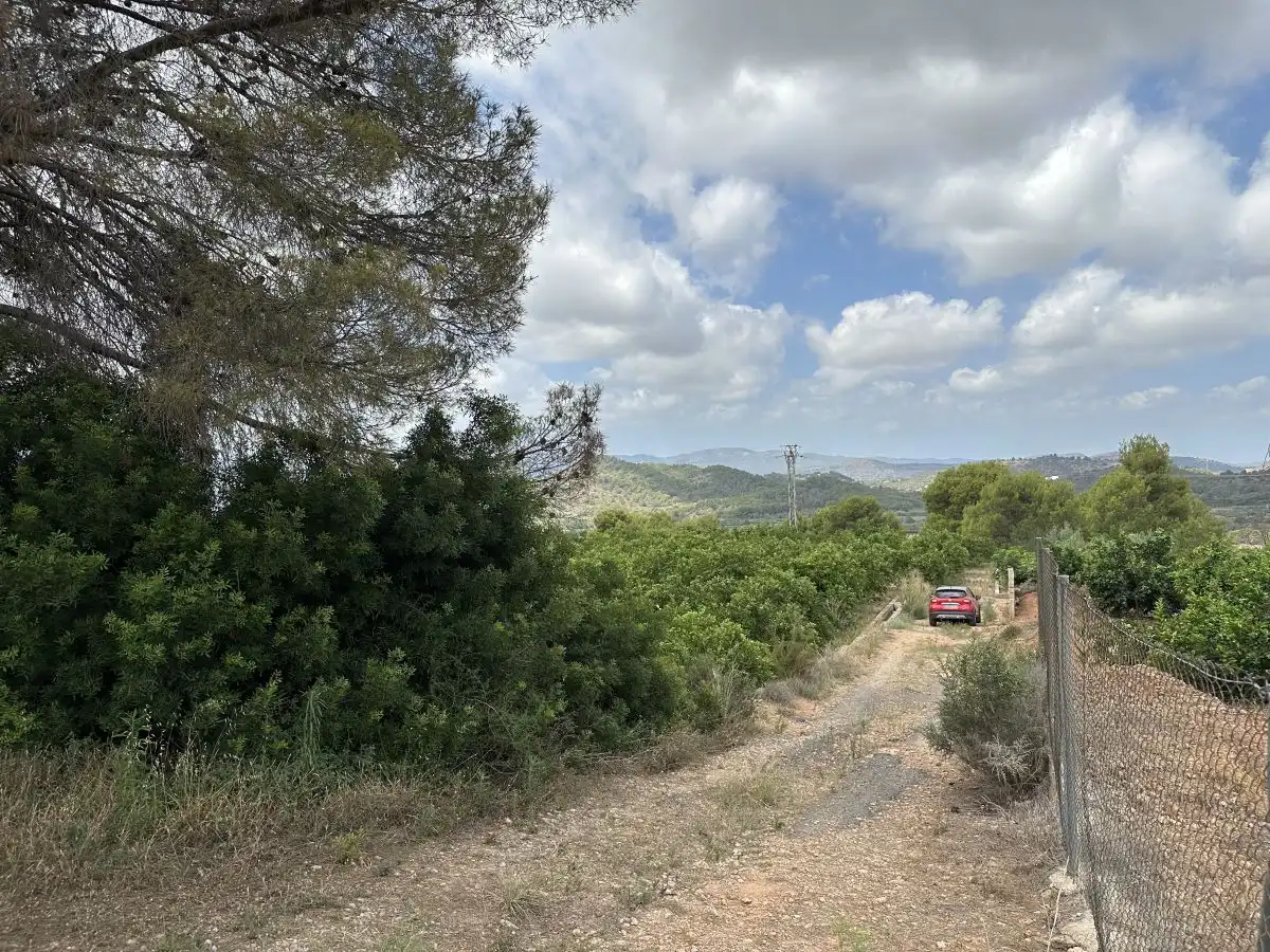 Rural land for sale in Sagunto ciudad, imagen 11