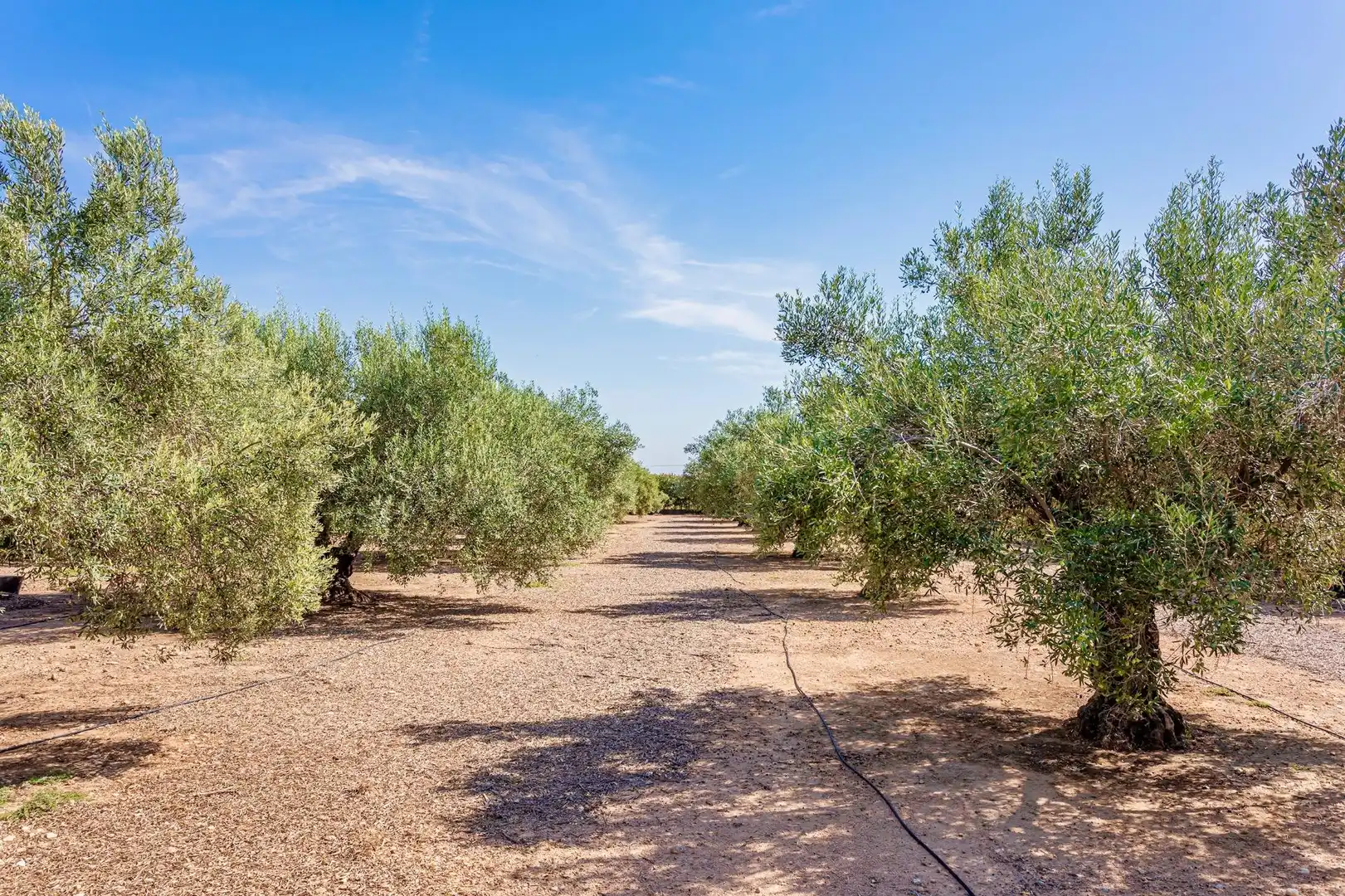 Houses for sale in Chiva  with Air Conditioner, Private garden and Terrace