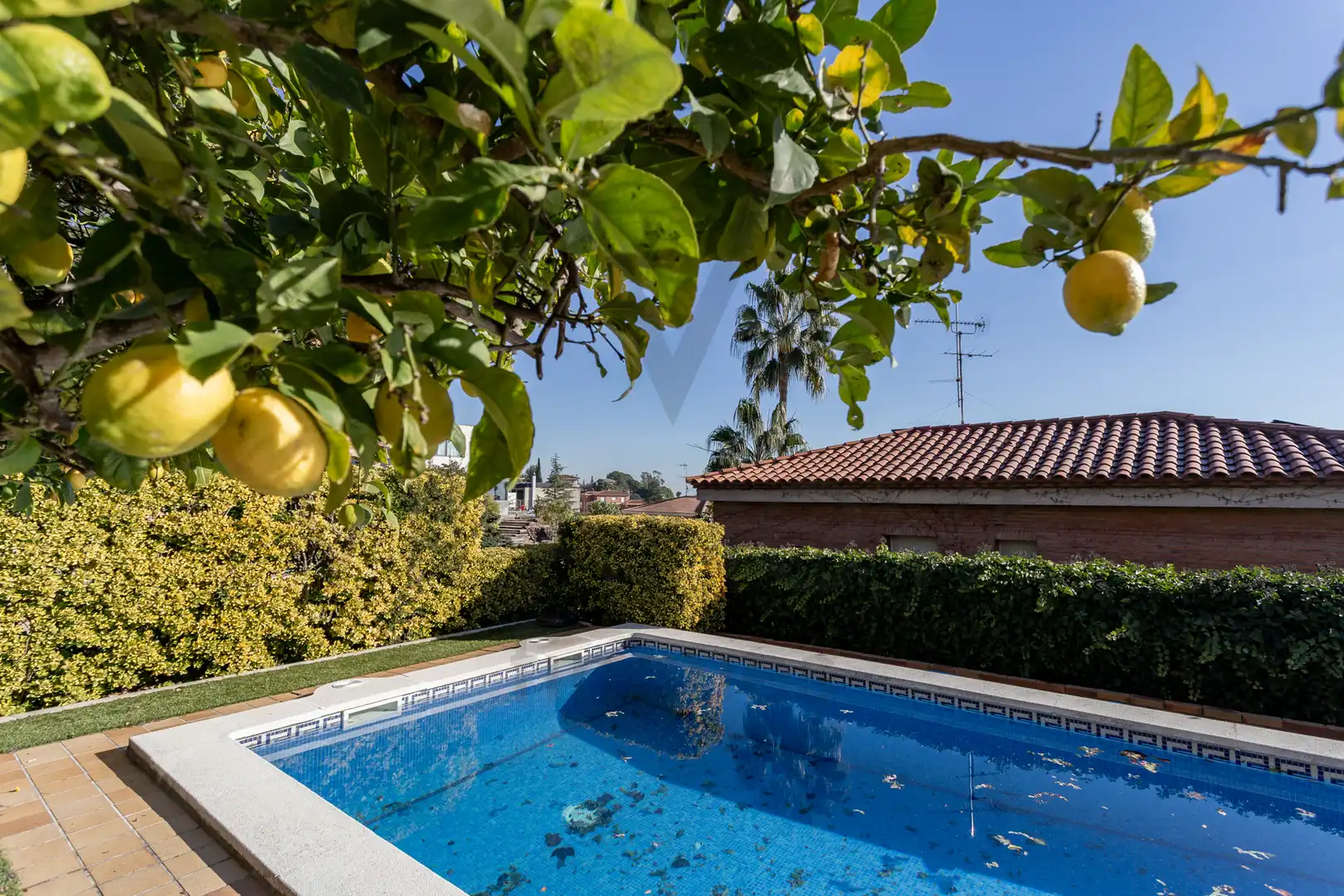 Piscina de Casa o xalet en venda en Castellvell del Camp amb Aire condicionat, Calefacció i Jardí privat